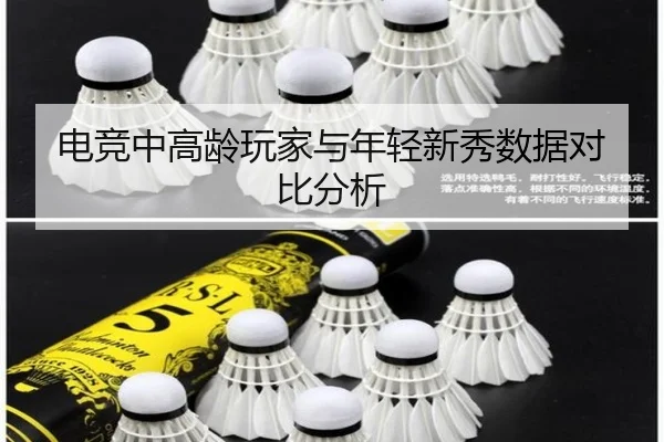 电竞中高龄玩家与年轻新秀数据对比分析