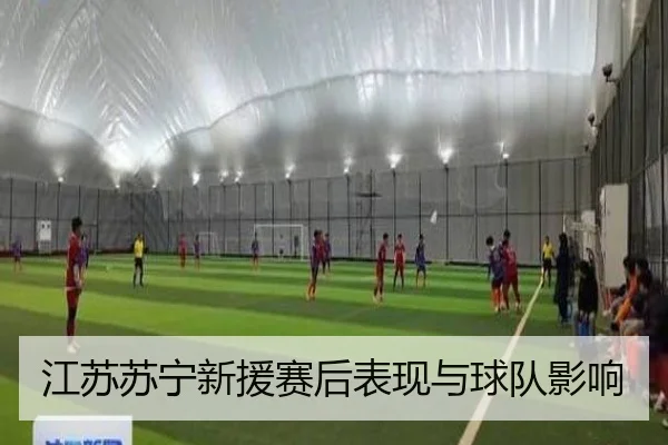 江苏苏宁新援赛后表现与球队影响